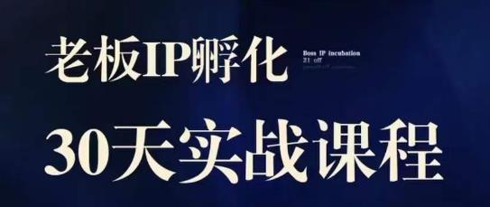 诸葛·2023老板IP实战课，实体同城引流获客，IP孵化必听-520资源库