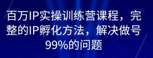 百万IP实操训练营课程，完整的IP孵化方法，解决做号99%的问题-520资源库