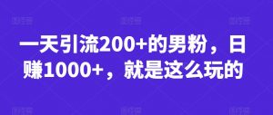 一天引流200+的男粉，日赚1000+，就是这么玩的【揭秘】-520资源库