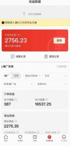 拼多多无人直播不封号玩法，0投入，3天必起，日入1000+-520资源库