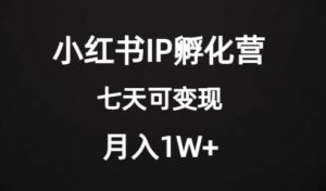 价值2000+的小红书IP孵化营项目，超级大蓝海，七天即可开始变现，稳定月入1W+-520资源库