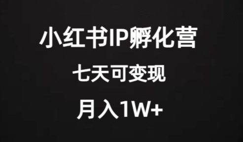 价值2000+的小红书IP孵化营项目，超级大蓝海，七天即可开始变现，稳定月入1W+-520资源库