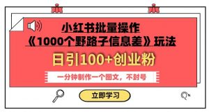 小红书批量操作《1000个野路子信息差》玩法，一分钟制作一个图文，不封号，日引100+创业粉-520资源库