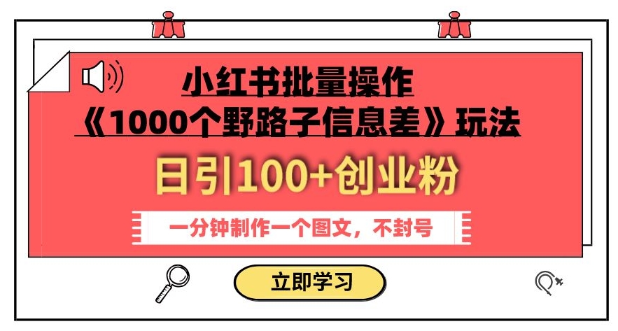 小红书批量操作《1000个野路子信息差》玩法，一分钟制作一个图文，不封号，日引100+创业粉-520资源库