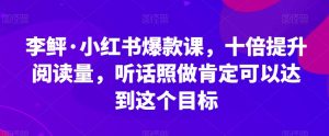 李鲆·小红书爆款课，十倍提升阅读量，听话照做肯定可以达到这个目标-520资源库