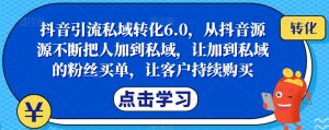 抖音引流私域转化6.0,从抖音源源不断把人加到私域,让加到私域的粉丝买单,让客户持续购买-520资源库
