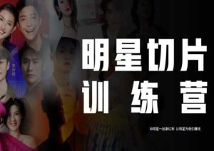 王子·明星切片线上训练营（2023），和明星一起拿红利，让明星为我们赚钱-520资源库