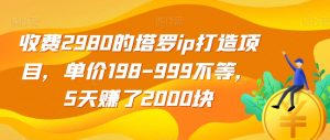 收费2980的塔罗ip打造项目，单价198-999不等，5天赚了2000块【揭秘】-520资源库