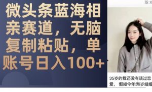 微头条蓝海相亲赛道，无脑复制粘贴，单账号日入100+-520资源库
