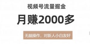 视频号流量掘金，无脑操作，对新人小白友好，月赚2000多【揭秘】-520资源库
