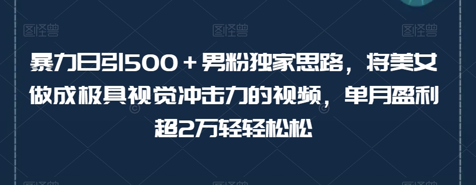 暴力日引500＋男粉独家思路，将美女做成极具视觉冲击力的视频，单月盈利超2万轻轻松松-520资源库