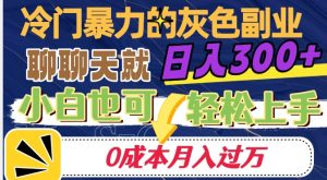 冷门暴利的副业项目，聊聊天就能日入300+，0成本月入过万【揭秘】-520资源库