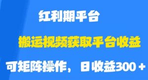 搬运视频获取平台收益，平台红利期，附保姆级教程【揭秘】-520资源库