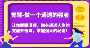觉醒-做一个通透的强者，让你醍醐灌顶，拥有通透人生的觉醒开悟课，掌握强大的秘密！-520资源库