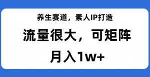 养生赛道，素人IP打造，流量很大，可矩阵，月入1w+【揭秘】-520资源库