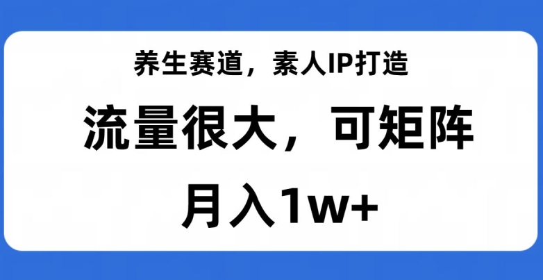 养生赛道，素人IP打造，流量很大，可矩阵，月入1w+【揭秘】-520资源库