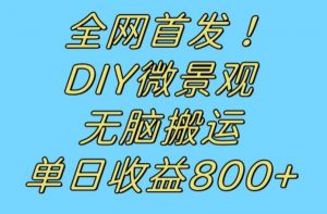全网首发冷门赛道！DIY微景观，无脑搬运视频，日收益800+【揭秘】-520资源库