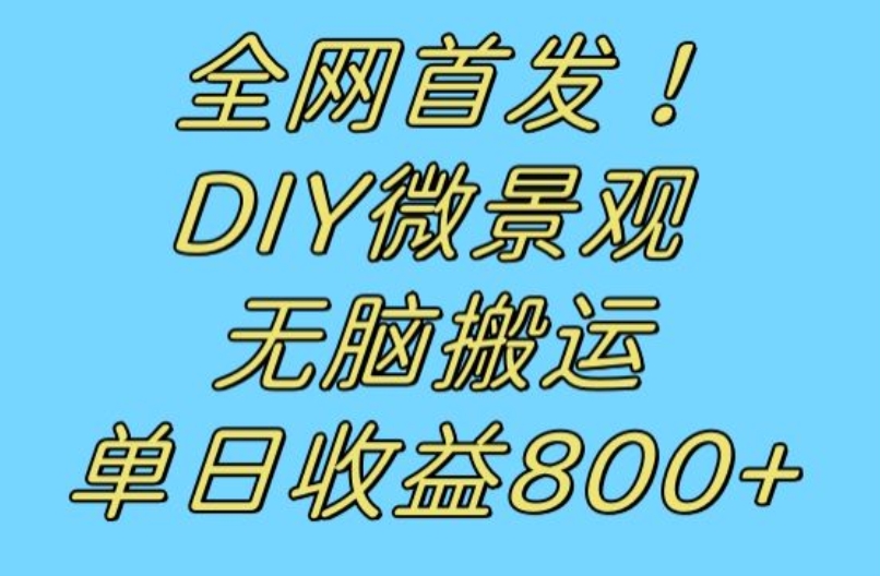 全网首发冷门赛道！DIY微景观，无脑搬运视频，日收益800+【揭秘】-520资源库