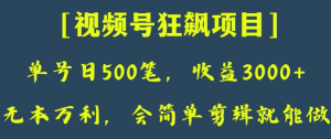 日收款500笔，纯利润3000+，视频号狂飙项目，会简单剪辑就能做【揭秘】-520资源库