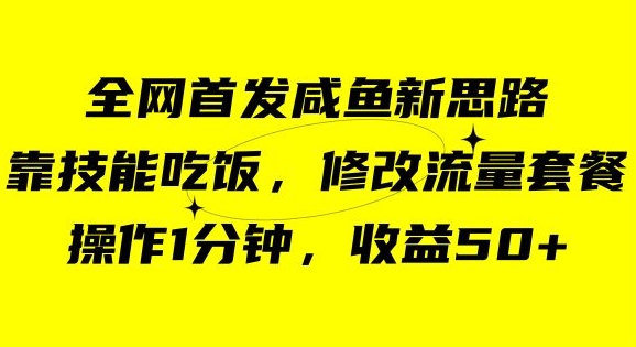 咸鱼冷门新玩法,靠“技能吃饭”,修改流量套餐,操作1分钟,收益50【揭秘】-520资源库