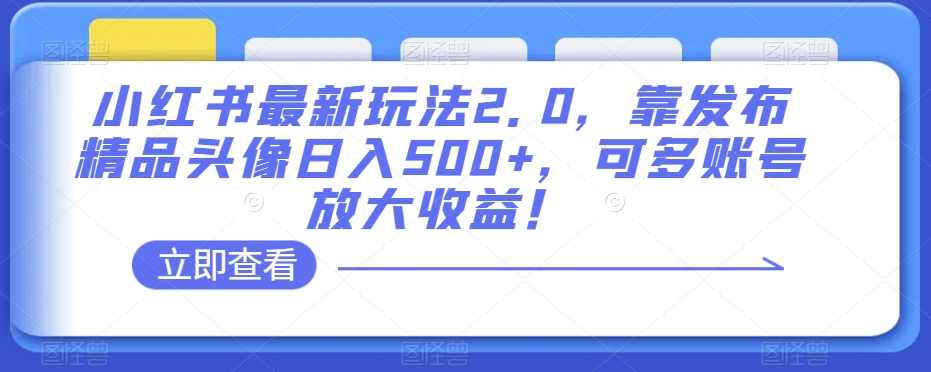 小红书最新玩法2.0，靠发布精品头像日入500+，可多账号放大收益！【揭秘】-520资源库