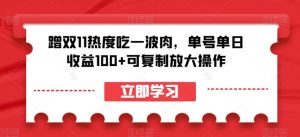 蹭双11热度吃一波肉，单号单日收益100+可复制放大操作【揭秘】-520资源库