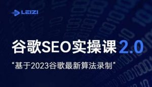雷子·谷歌SEO 2.0实战课，独立站询盘自由必备，基于2023谷歌最新算法录制-520资源库