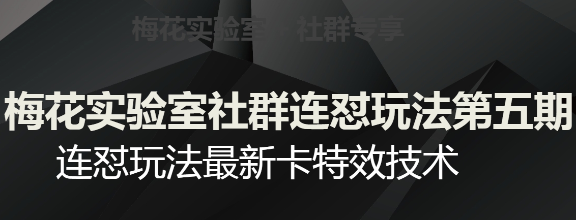 梅花实验室社群连怼玩法第五期，视频号连怼玩法最新卡特效技术-520资源库