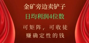 金矿旁边卖铲子，赚确定性的钱，可矩阵，可收徒，日均利润4位数【揭秘】-520资源库
