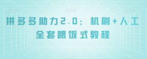 拼多多助力2.0：机刷+人工全套喂饭式教程【揭秘】-520资源库