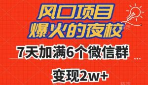 全网首发，爆火的夜校，7天加满6个微信群，变现2w+【揭秘】-520资源库