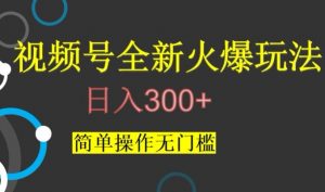 视频号最新爆火玩法，日入300+，简单操作无门槛【揭秘】-520资源库