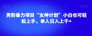 男粉暴力项目“女神计划”小白也可轻松上手，单人日入上千+【揭秘】-520资源库