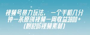 视频号暴力玩法，一个手机几分钟一条原创视频一周收益3800+（附820G视频素材）-520资源库
