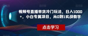 视频号直播带货冷门玩法，日入1000+，小白专属项目，从0到1实战教学【揭秘】-520资源库
