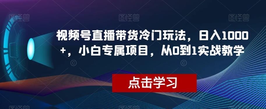 视频号直播带货冷门玩法，日入1000+，小白专属项目，从0到1实战教学【揭秘】-520资源库