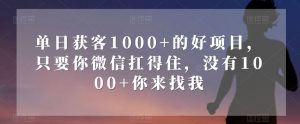 单日获客1000+的好项目，只要你微信扛得住，没有1000+你来找我【揭秘】-520资源库