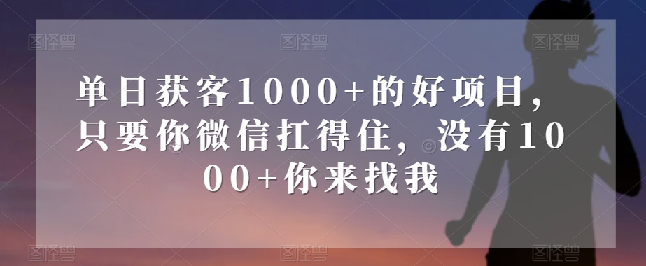单日获客1000+的好项目，只要你微信扛得住，没有1000+你来找我【揭秘】-520资源库