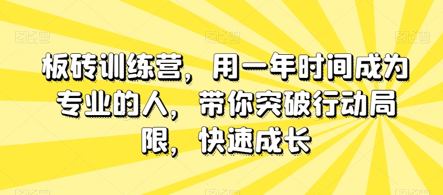 板砖训练营，用一年时间成为专业的人，带你突破行动局限，快速成长-520资源库