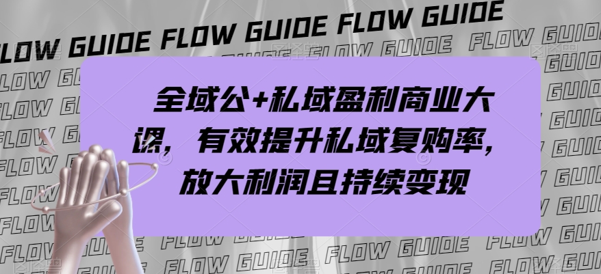 全域公+私域盈利商业大课，有效提升私域复购率，放大利润且持续变现-520资源库