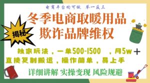 利用电商平台冬季销售取暖用品欺诈行为合理制裁店铺，单日入900+【仅揭秘】-520资源库