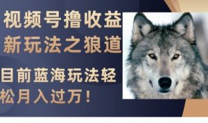 视频号撸收益新玩法之狼道，目前蓝海玩法，轻松月入过万【揭秘】-520资源库