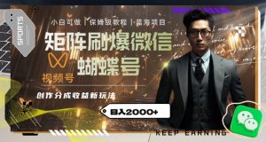 矩阵刷爆微信蝴蝶号创作者分成计划收益的新玩法，日入2000+【揭秘】-520资源库