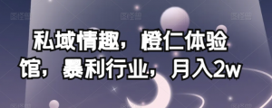 私域情趣，橙仁体验馆，暴利行业，月入2w【揭秘】-520资源库
