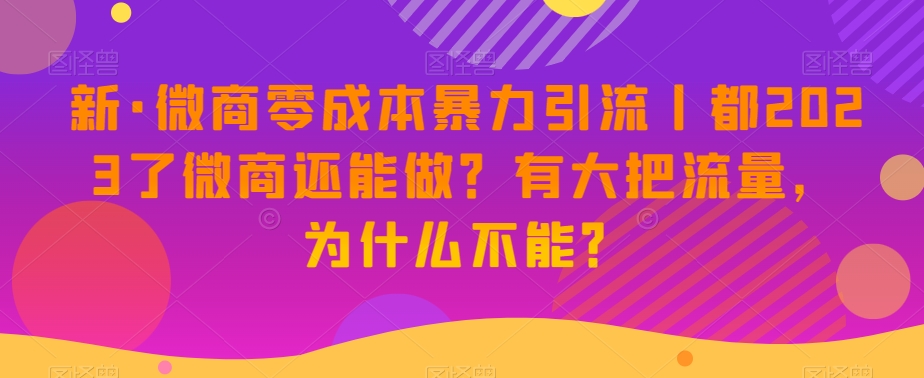 新·微商零成本暴力引流丨都2023了微商还能做？有大把流量，为什么不能？-520资源库