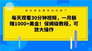 每天观看30分钟视频，一月躺赚1000+美金！保姆级教程，可放大操作【揭秘】-520资源库