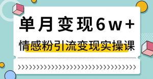 单月变现6W+，抖音情感粉引流变现实操课，小白可做，轻松上手，独家赛道【揭秘】-520资源库