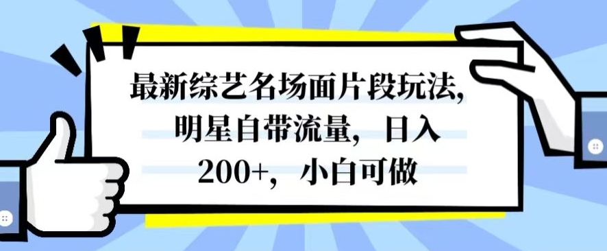 最新综艺名场面片段玩法，明星自带流量，日入200+，小白可做【揭秘】-520资源库