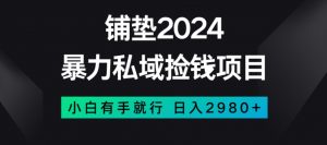 暴力私域捡钱项目，小白无脑操作，日入2980【揭秘】-520资源库