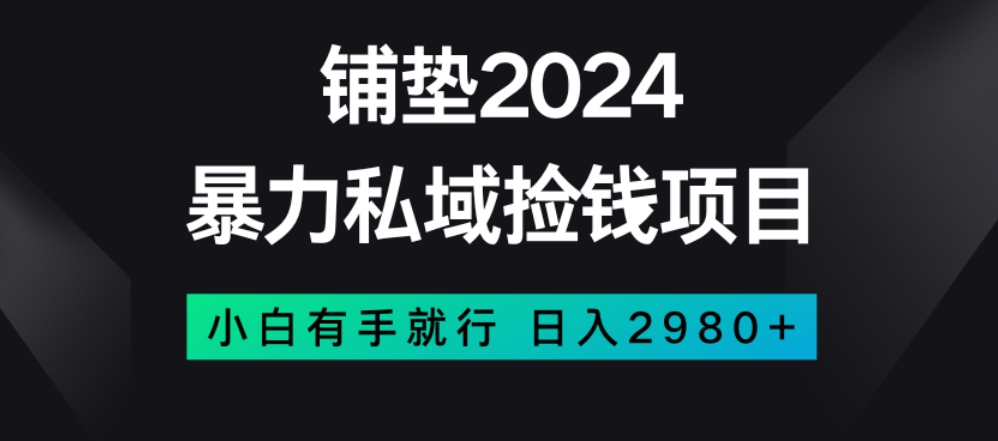 暴力私域捡钱项目，小白无脑操作，日入2980【揭秘】-520资源库